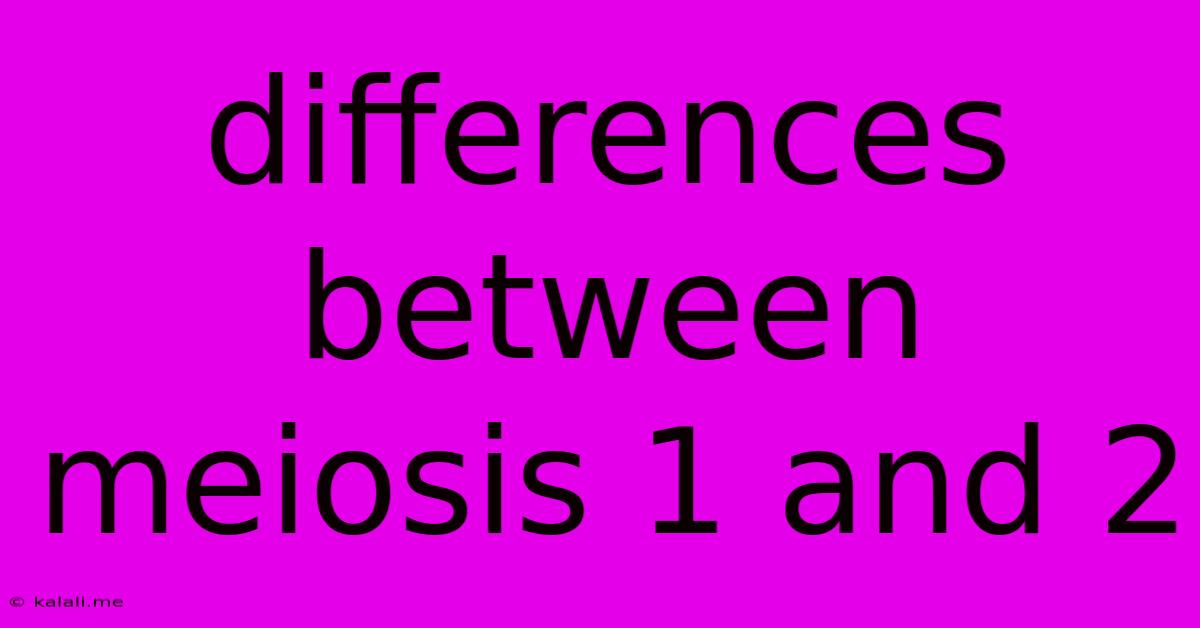 Differences Between Meiosis 1 And 2