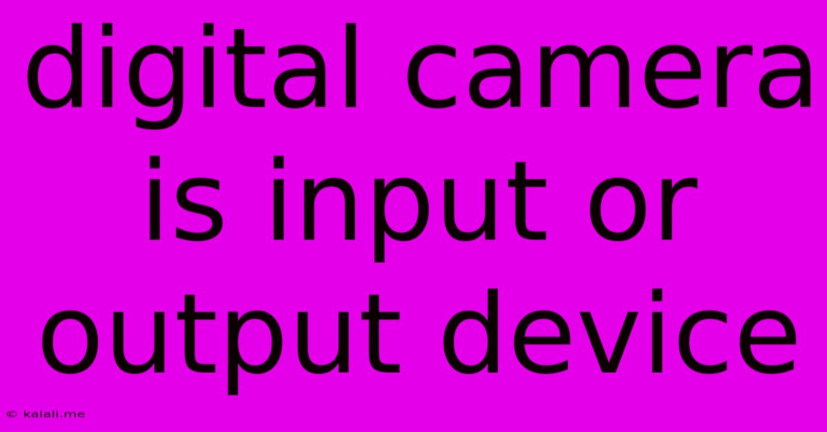Digital Camera Is Input Or Output Device