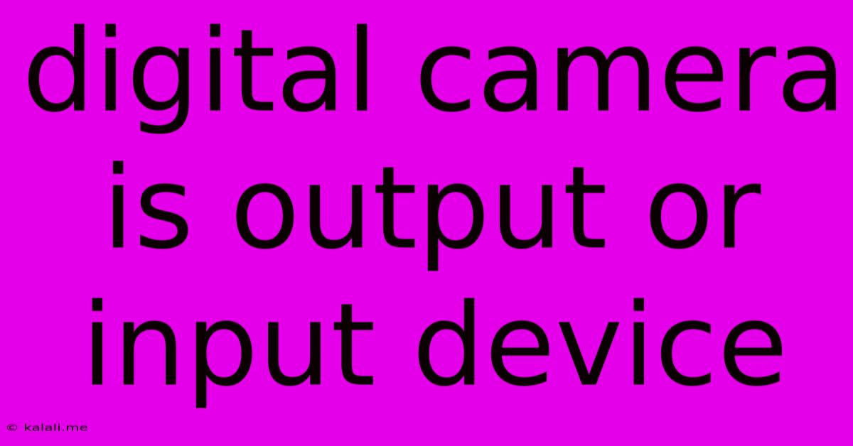 Digital Camera Is Output Or Input Device