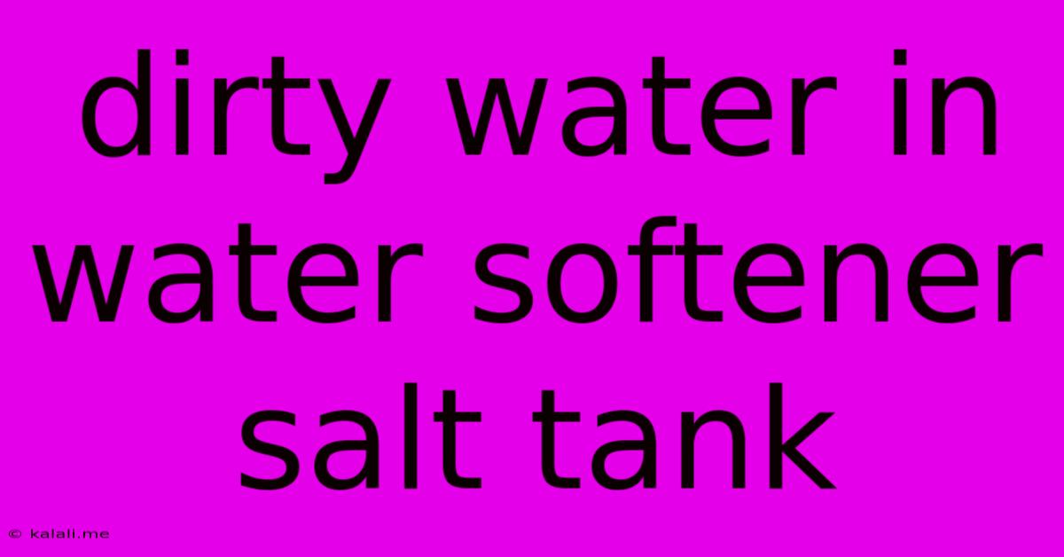 Dirty Water In Water Softener Salt Tank