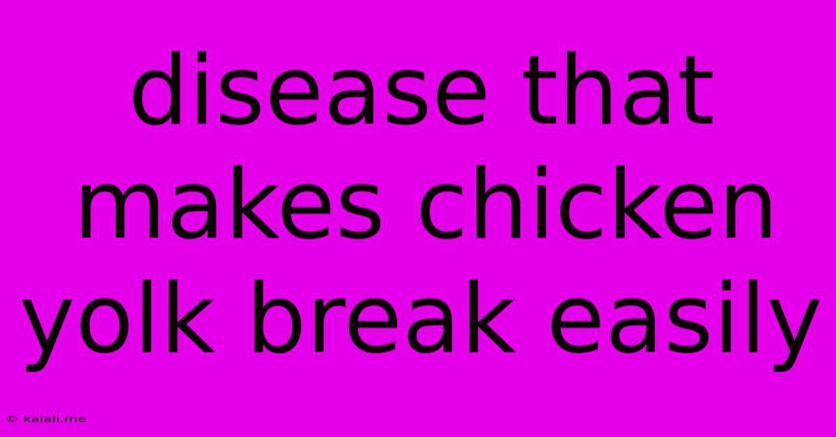Disease That Makes Chicken Yolk Break Easily