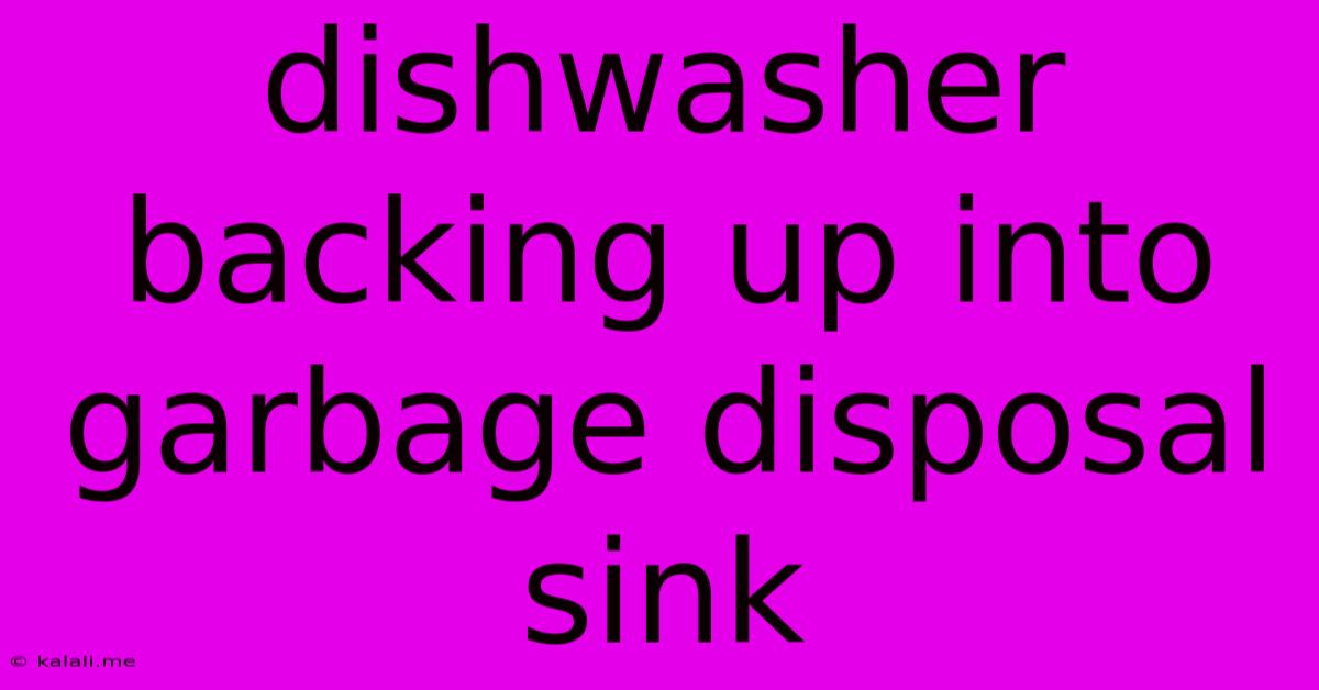 Dishwasher Backing Up Into Garbage Disposal Sink