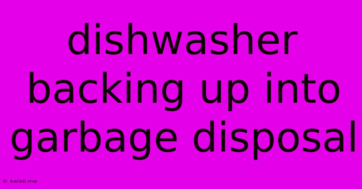 Dishwasher Backing Up Into Garbage Disposal