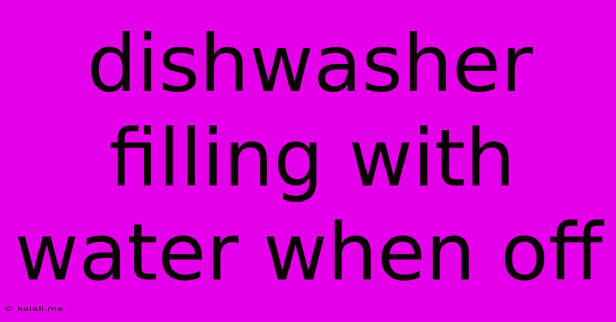 Dishwasher Filling With Water When Off