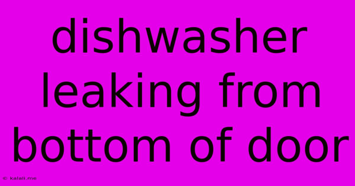 Dishwasher Leaking From Bottom Of Door