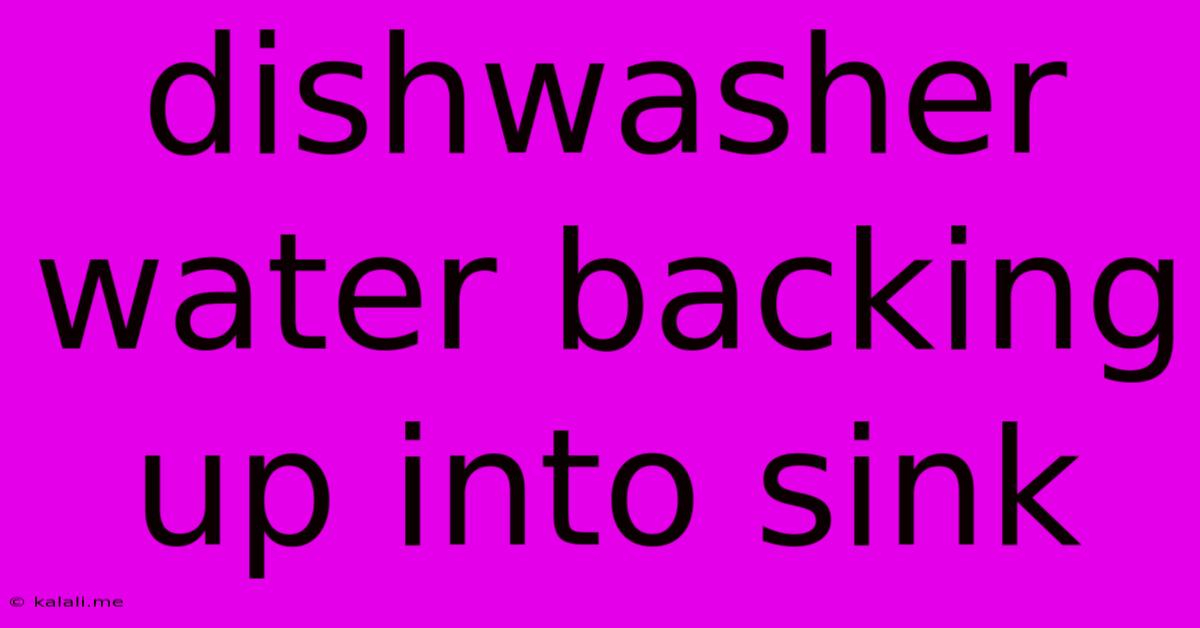 Dishwasher Water Backing Up Into Sink