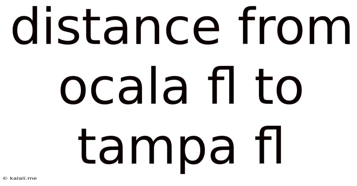 Distance From Ocala Fl To Tampa Fl