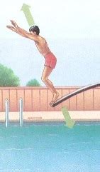 Diving Board And Person Action And Reaction Froce