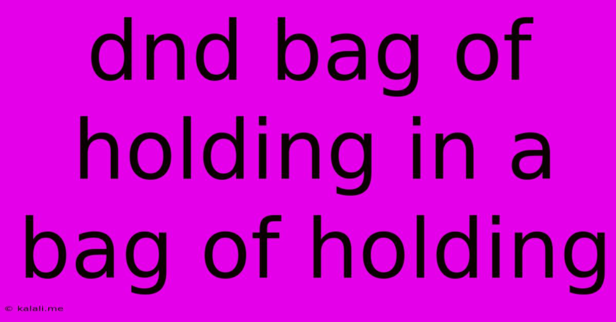 Dnd Bag Of Holding In A Bag Of Holding