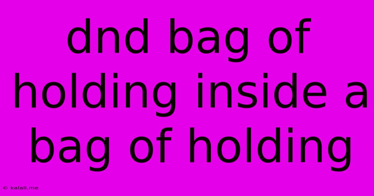 Dnd Bag Of Holding Inside A Bag Of Holding