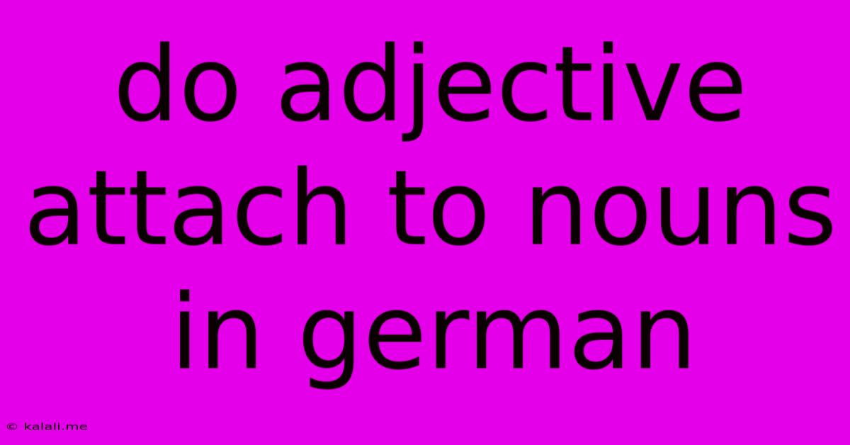 Do Adjective Attach To Nouns In German