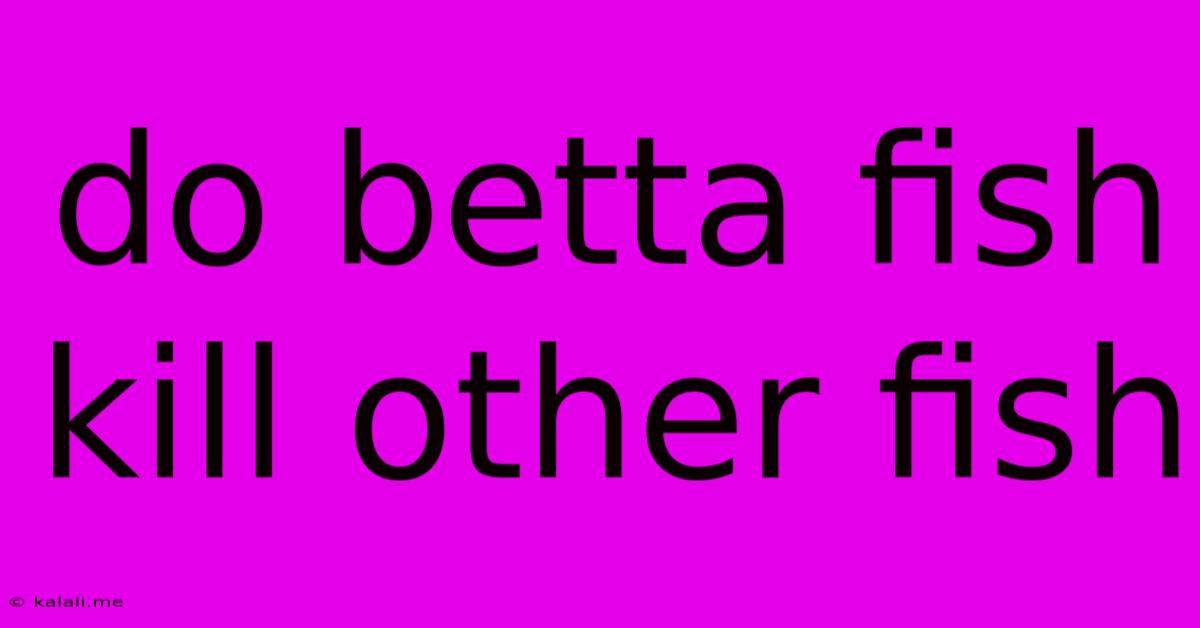 Do Betta Fish Kill Other Fish