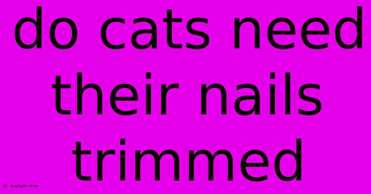 Do Cats Need Their Nails Trimmed
