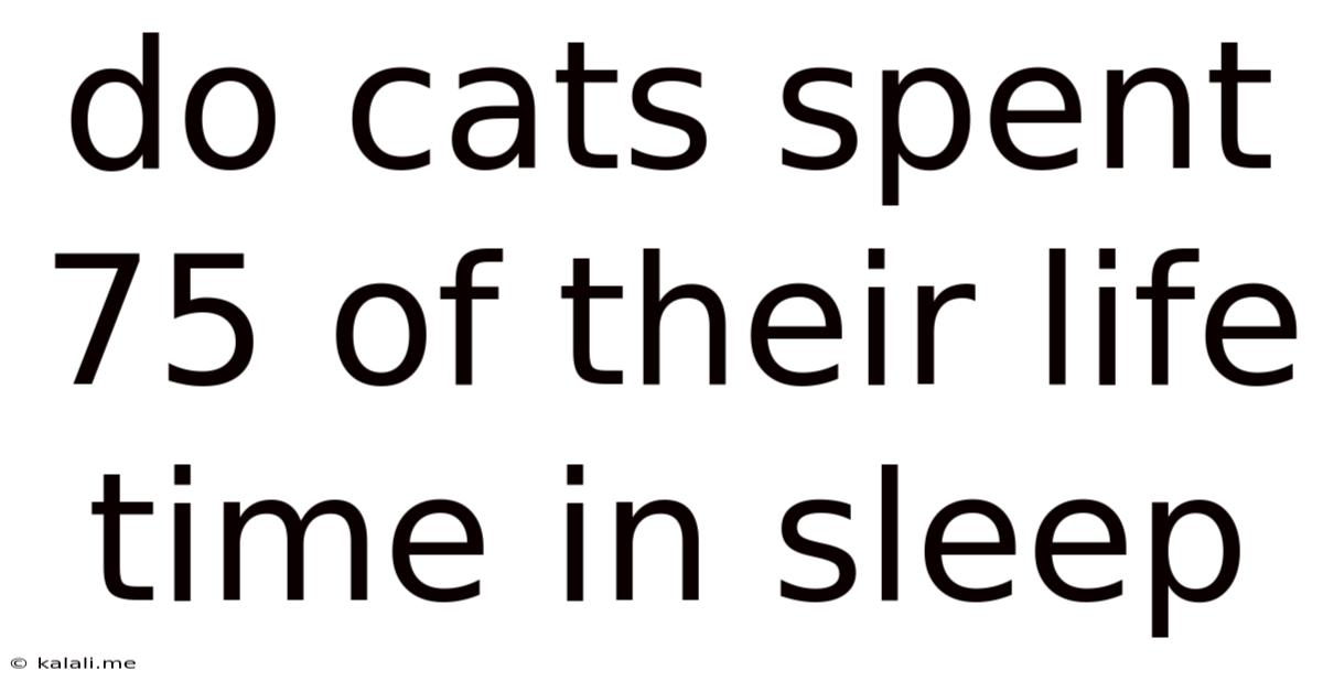 Do Cats Spent 75 Of Their Life Time In Sleep