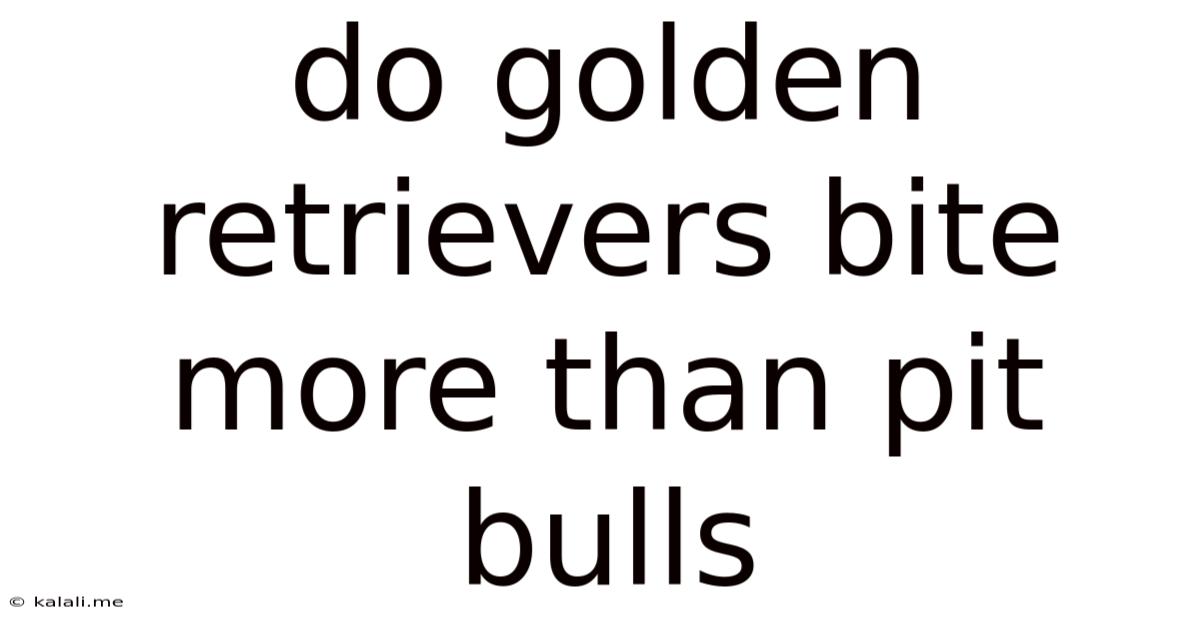 Do Golden Retrievers Bite More Than Pit Bulls