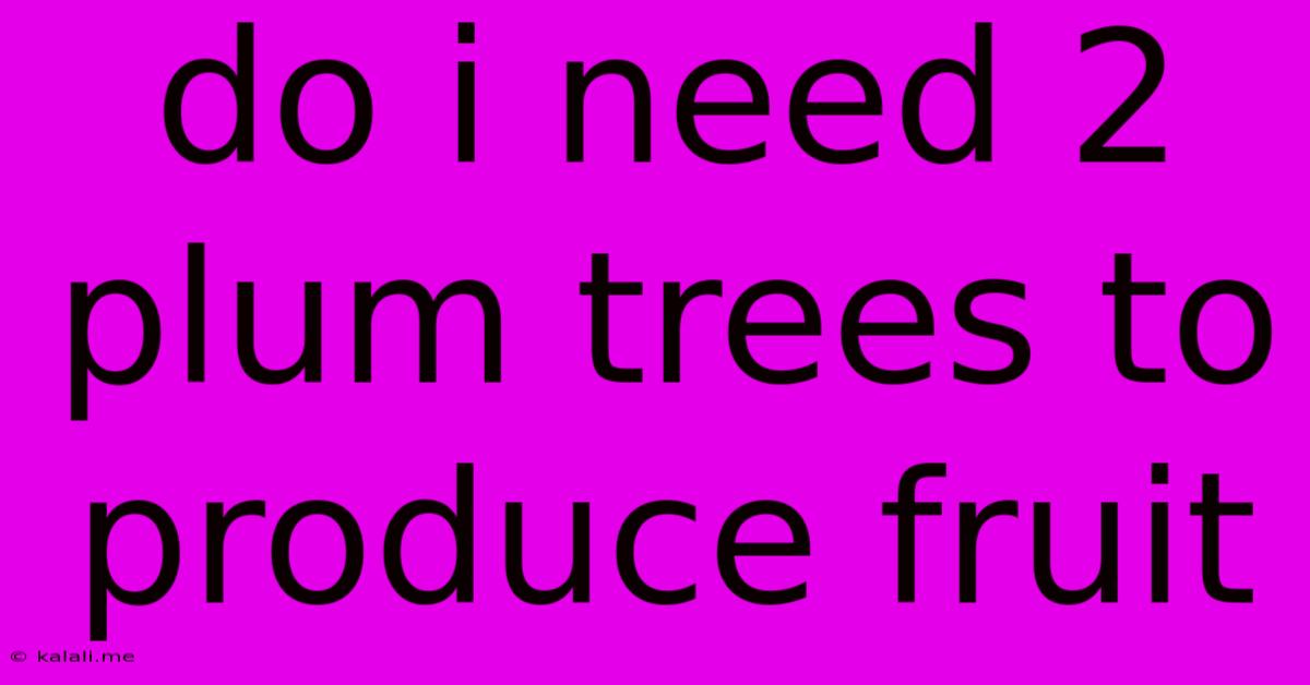 Do I Need 2 Plum Trees To Produce Fruit