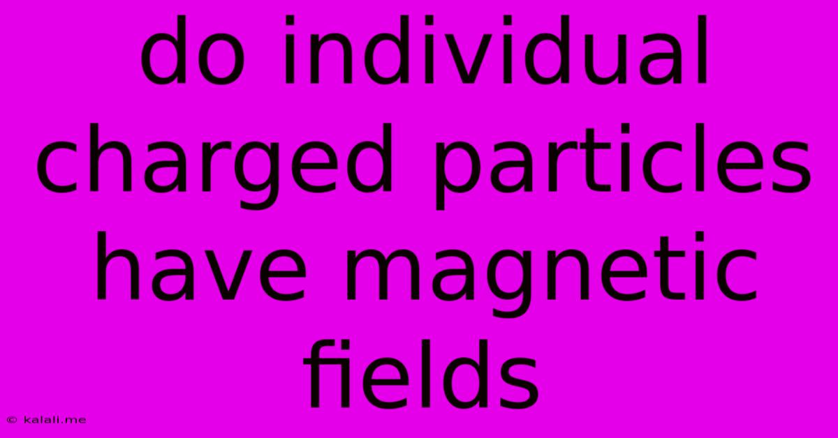 Do Individual Charged Particles Have Magnetic Fields