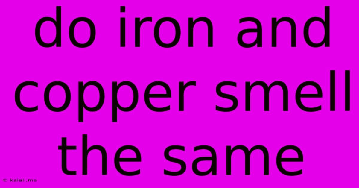 Do Iron And Copper Smell The Same