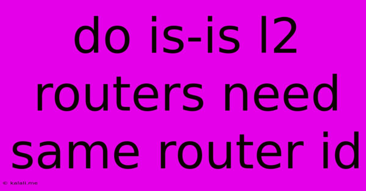 Do Is-is L2 Routers Need Same Router Id