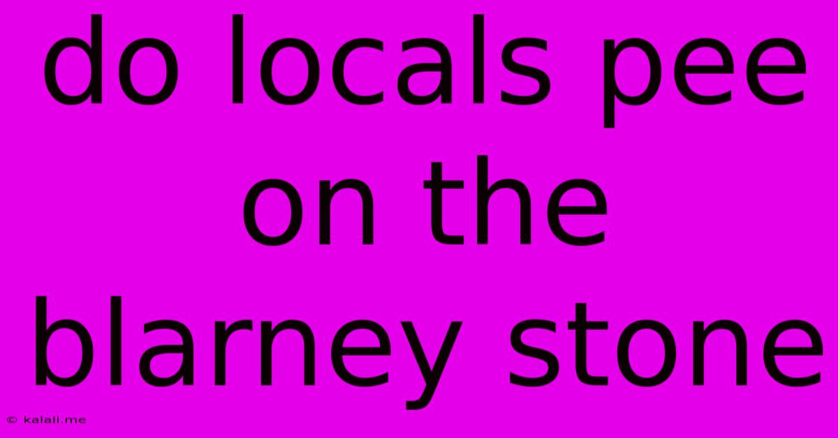 Do Locals Pee On The Blarney Stone
