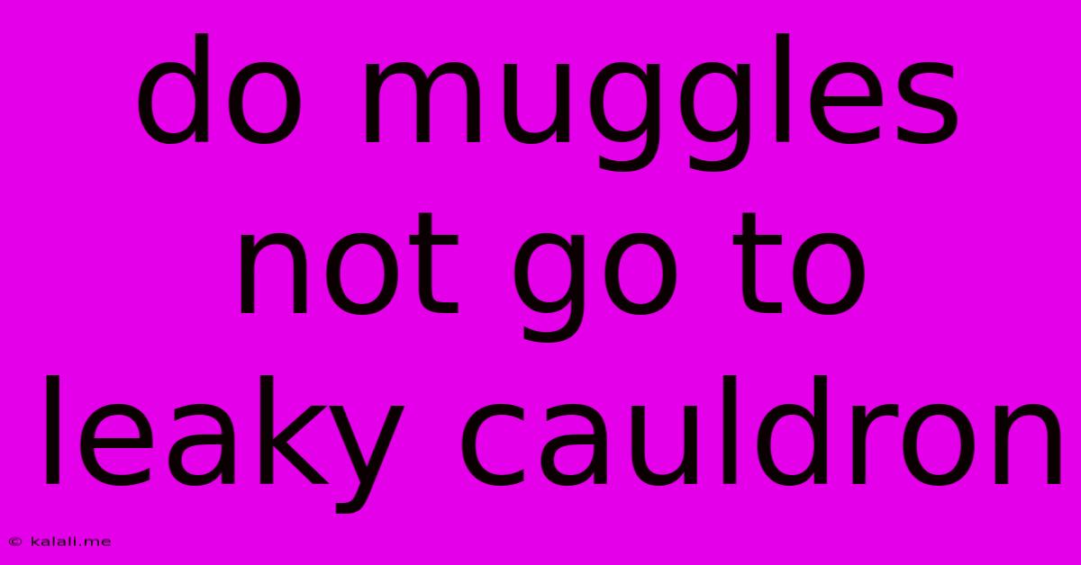 Do Muggles Not Go To Leaky Cauldron