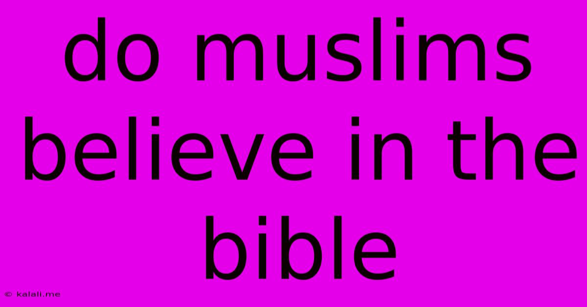 Do Muslims Believe In The Bible