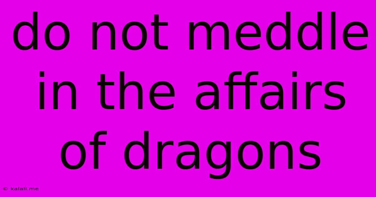 Do Not Meddle In The Affairs Of Dragons