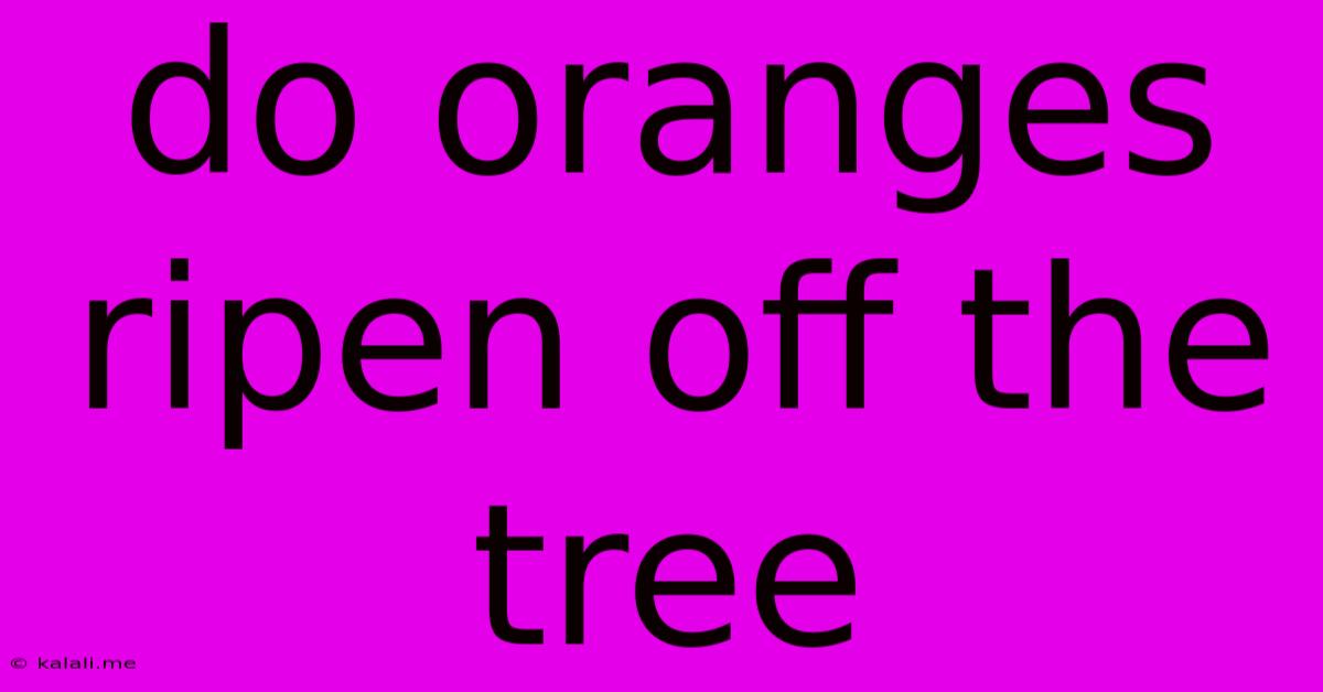Do Oranges Ripen Off The Tree