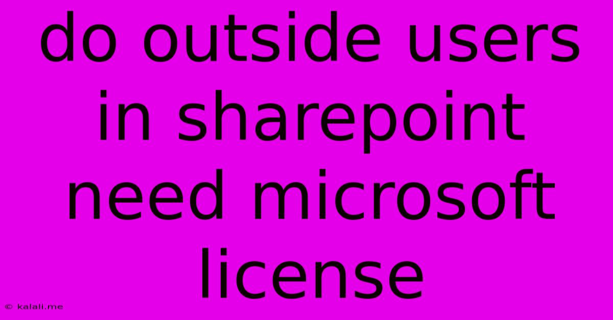 Do Outside Users In Sharepoint Need Microsoft License