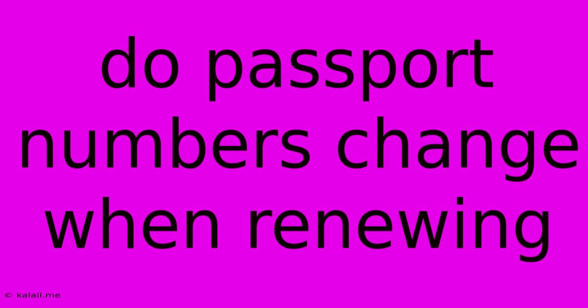Do Passport Numbers Change When Renewing