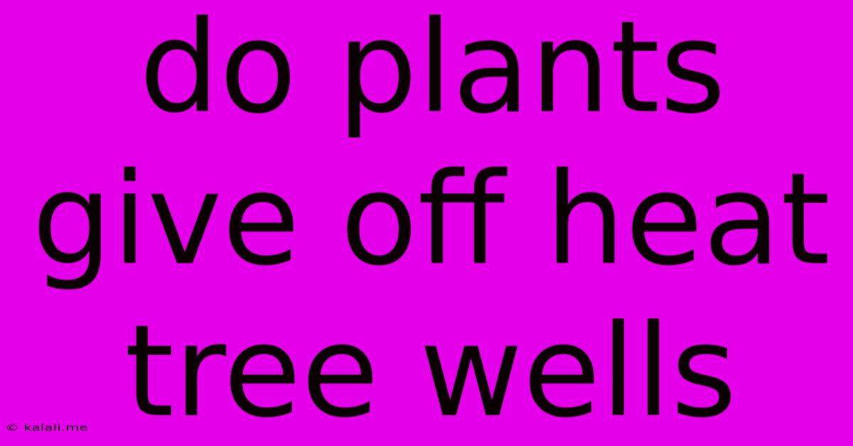 Do Plants Give Off Heat Tree Wells