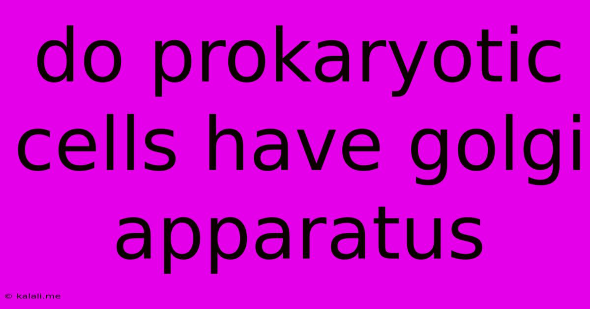 Do Prokaryotic Cells Have Golgi Apparatus