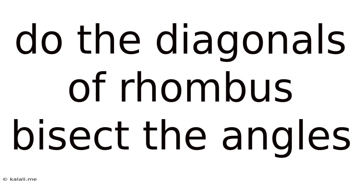 Do The Diagonals Of Rhombus Bisect The Angles