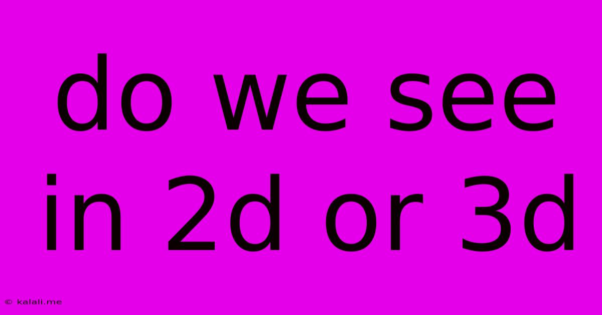 Do We See In 2d Or 3d