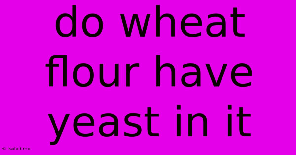 Do Wheat Flour Have Yeast In It