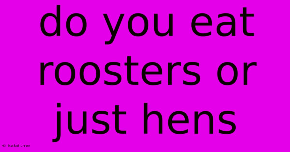 Do You Eat Roosters Or Just Hens