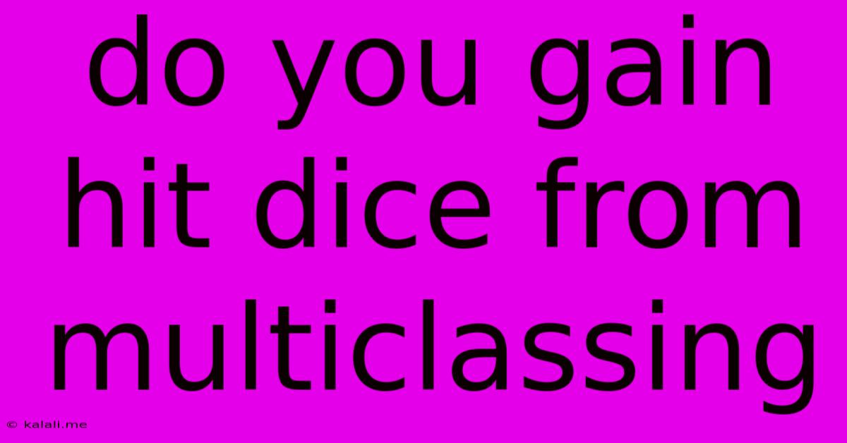 Do You Gain Hit Dice From Multiclassing