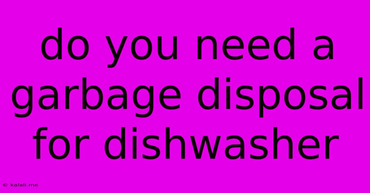 Do You Need A Garbage Disposal For Dishwasher