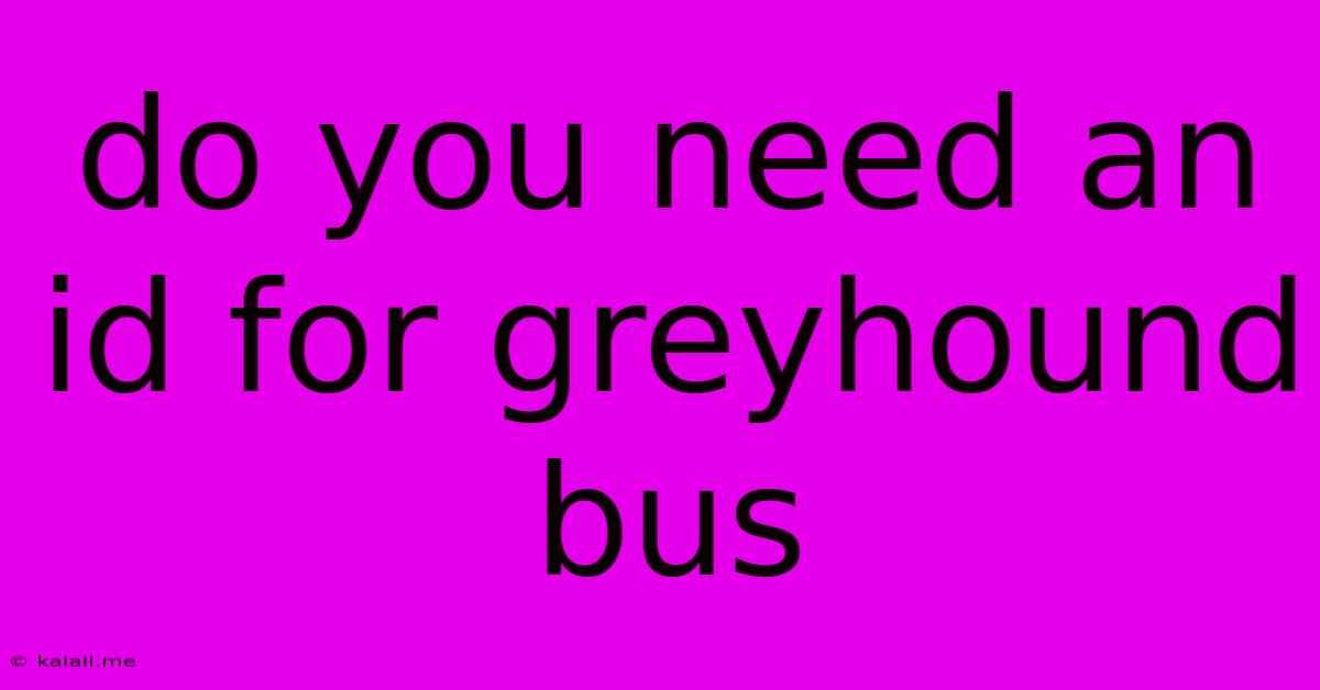 Do You Need An Id For Greyhound Bus