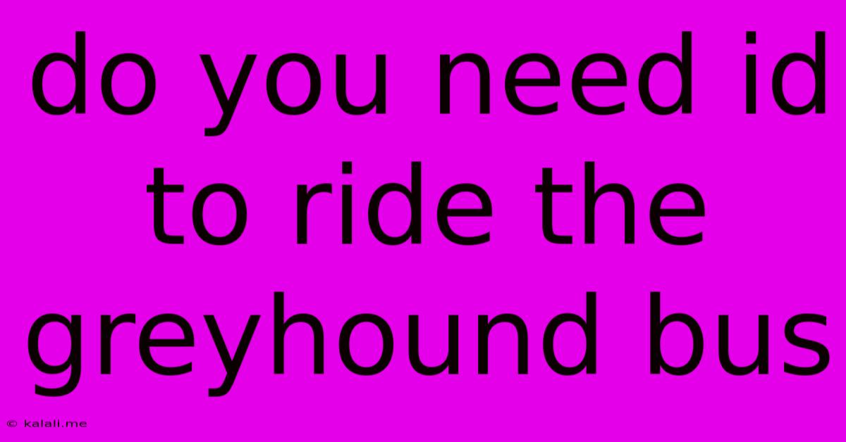 Do You Need Id To Ride The Greyhound Bus
