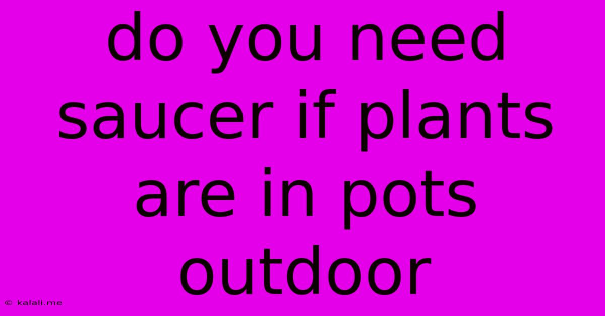 Do You Need Saucer If Plants Are In Pots Outdoor