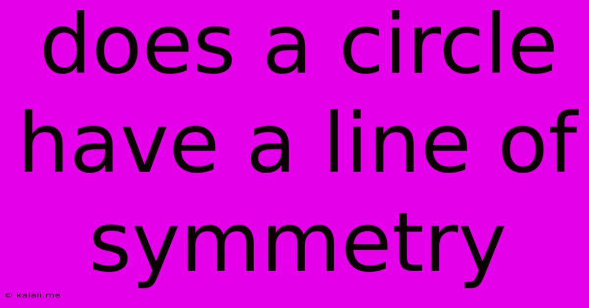 Does A Circle Have A Line Of Symmetry