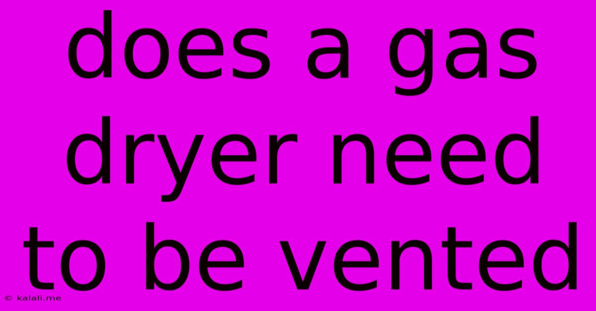 Does A Gas Dryer Need To Be Vented