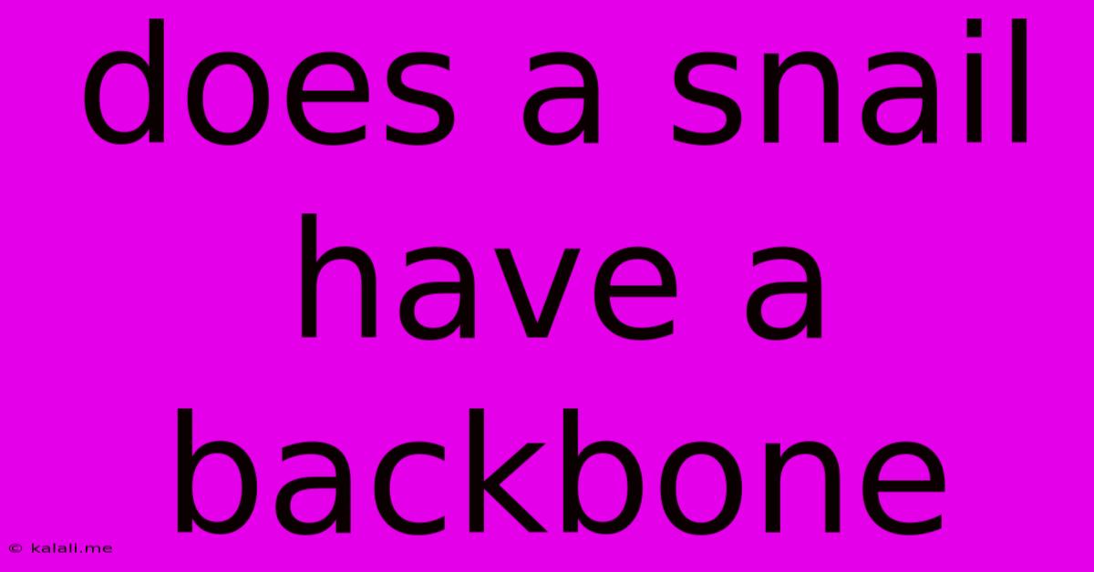 Does A Snail Have A Backbone