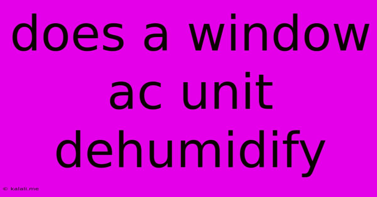 Does A Window Ac Unit Dehumidify