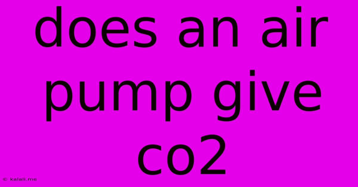 Does An Air Pump Give Co2