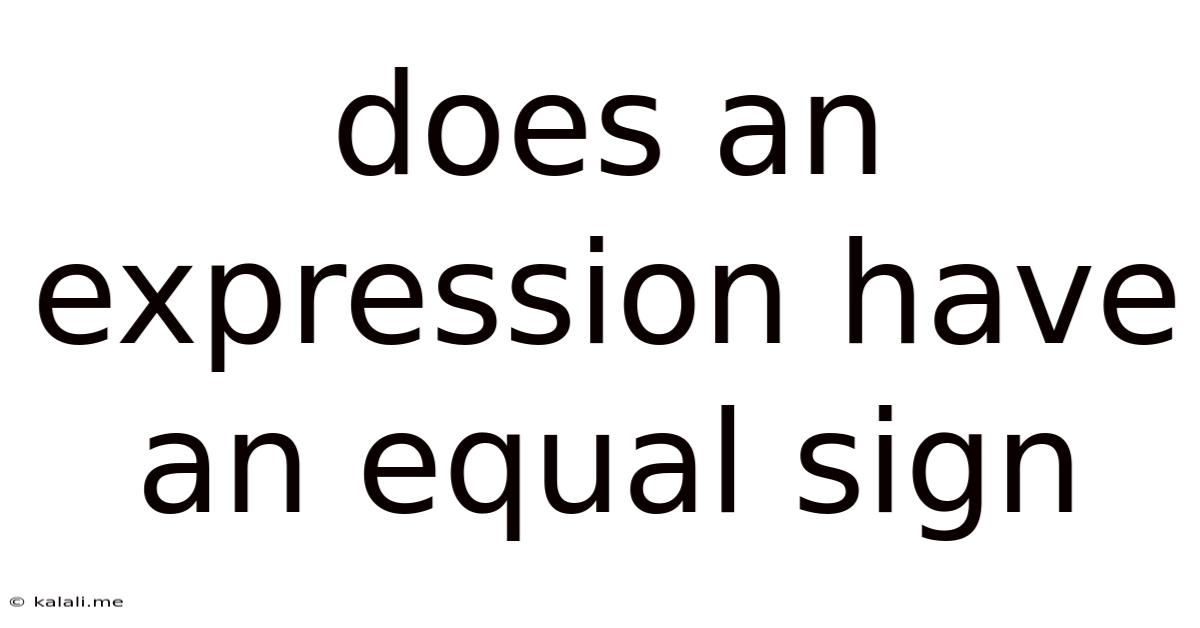 Does An Expression Have An Equal Sign