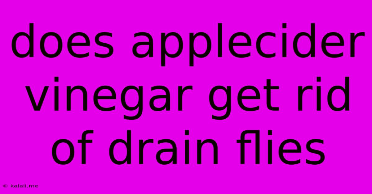 Does Applecider Vinegar Get Rid Of Drain Flies