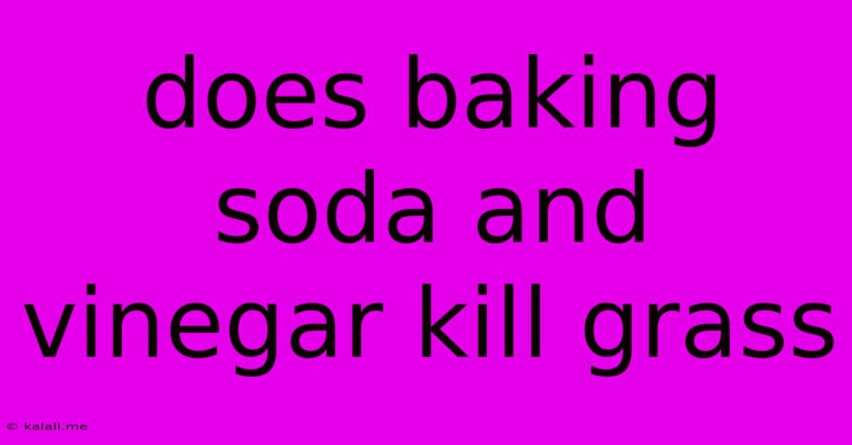 Does Baking Soda And Vinegar Kill Grass