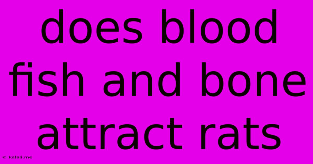 Does Blood Fish And Bone Attract Rats